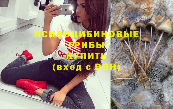 сатива Пересвет