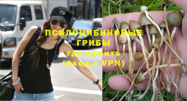 ГАЛЛЮЦИНОГЕННЫЕ ГРИБЫ Абинск