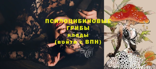 ГАЛЛЮЦИНОГЕННЫЕ ГРИБЫ Абинск