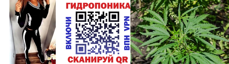 наркота  Мещовск  МАРИХУАНА ГИДРОПОН 